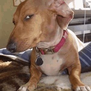 Meet your Posher, Mabor